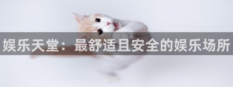 upload/20250701114914.jpg