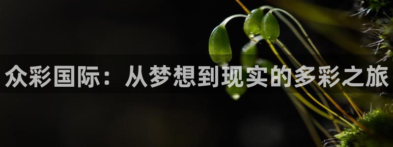 upload/20250701114914.jpg